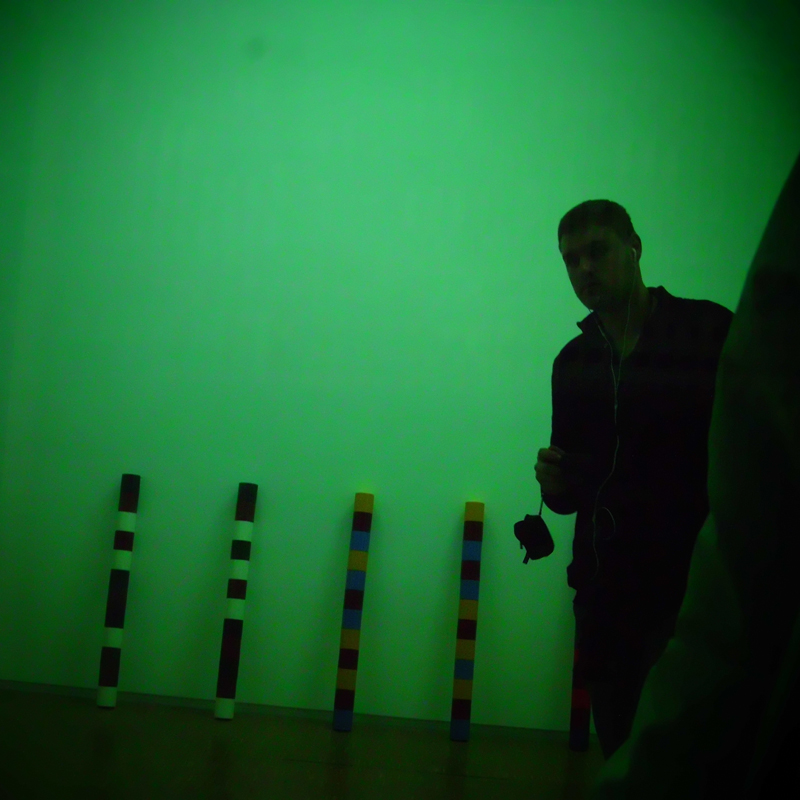 Силуэт на зелёном — таинственный гость