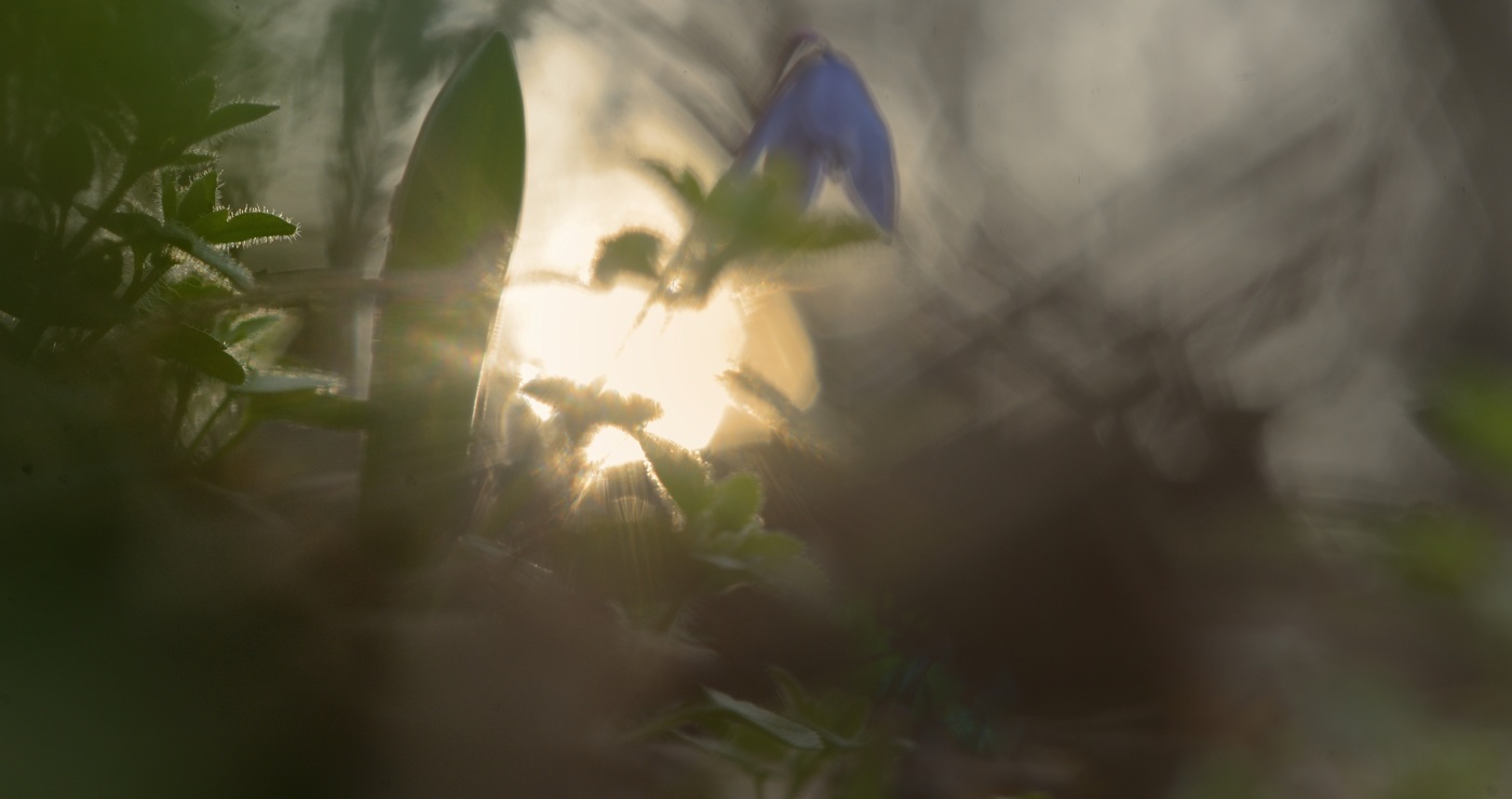 Восход солнца