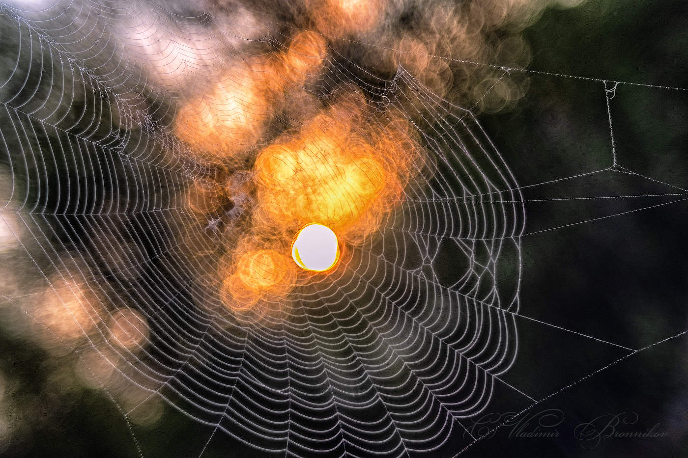 Солнце в гамаке