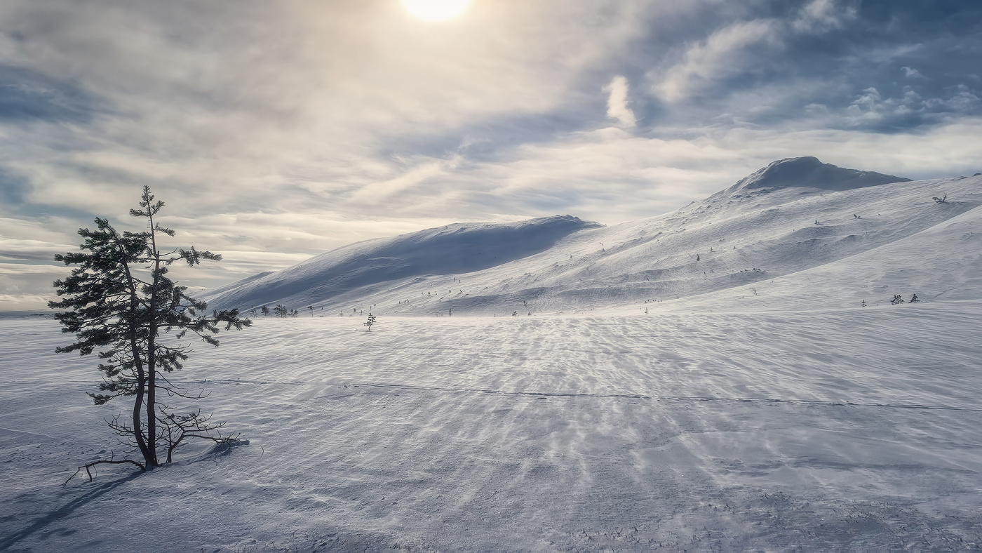 Ветер южный, умеренный...
