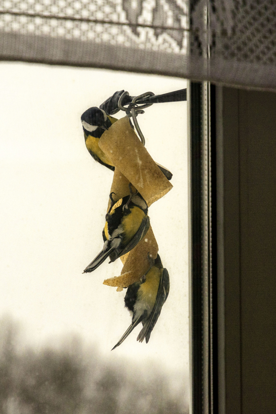 Жизнь вокруг