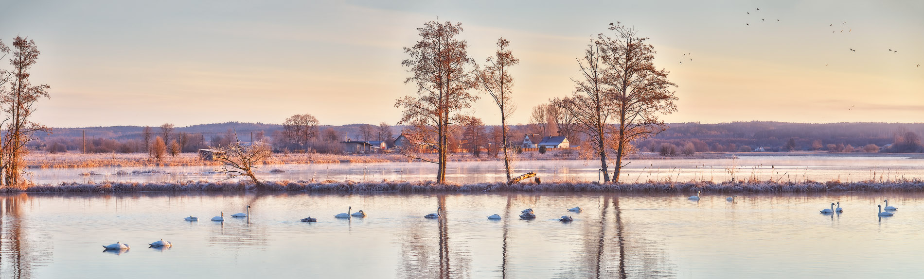 Март. Утро на "Лебедином озере"