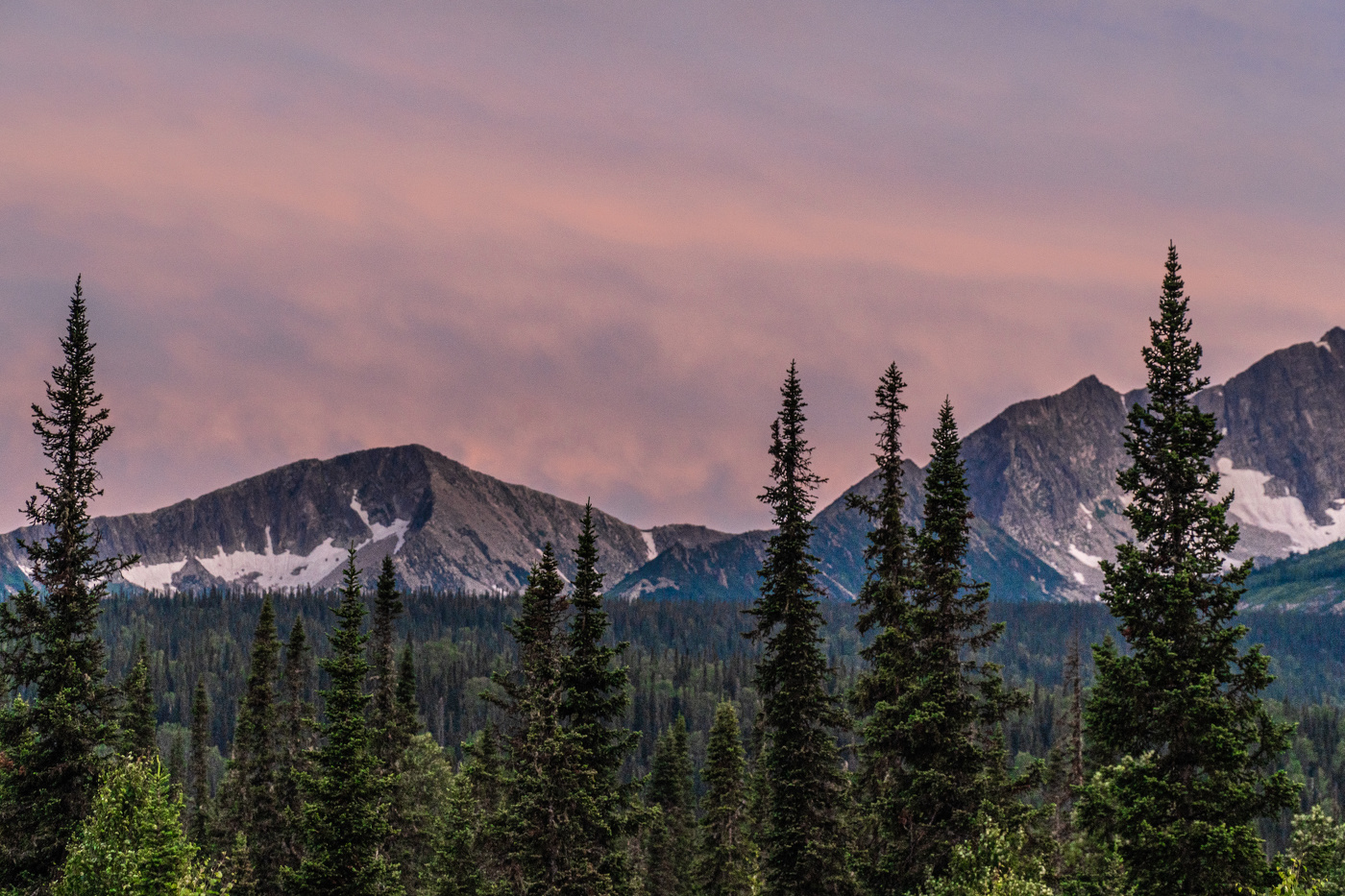 Поднебесные зубья