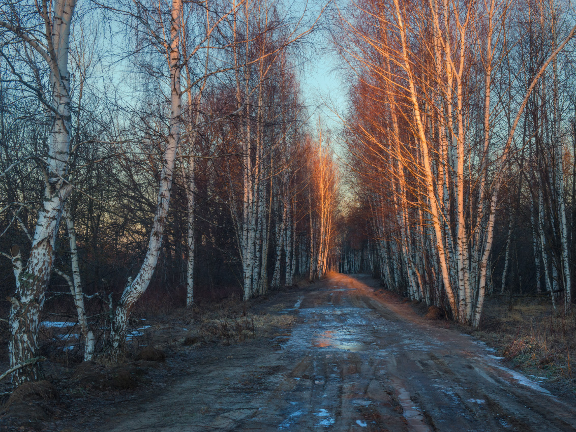 С первыми лучами