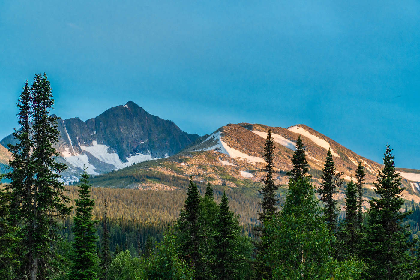 Поднебесные зубья