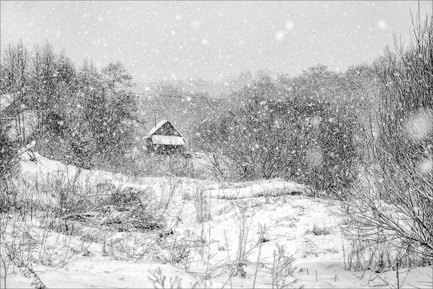 Жизнь вокруг