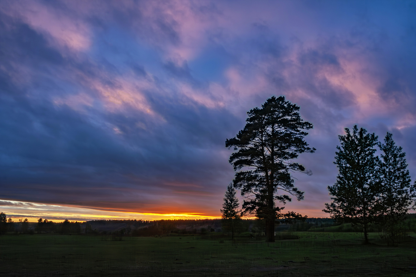 Вечерний всплеск