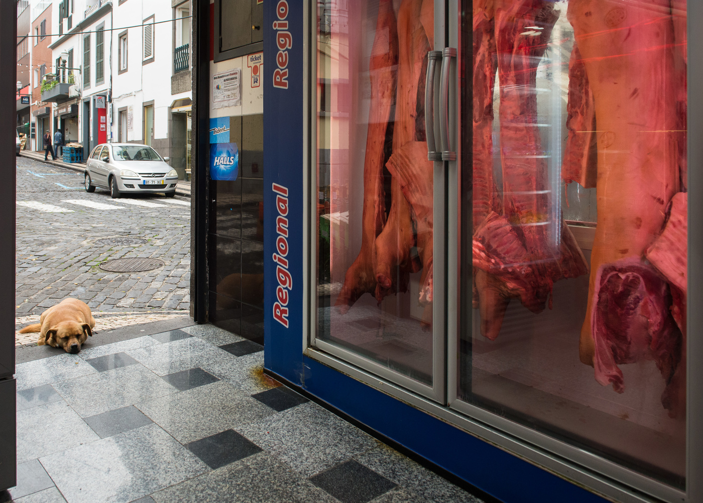 мечтать не вредно