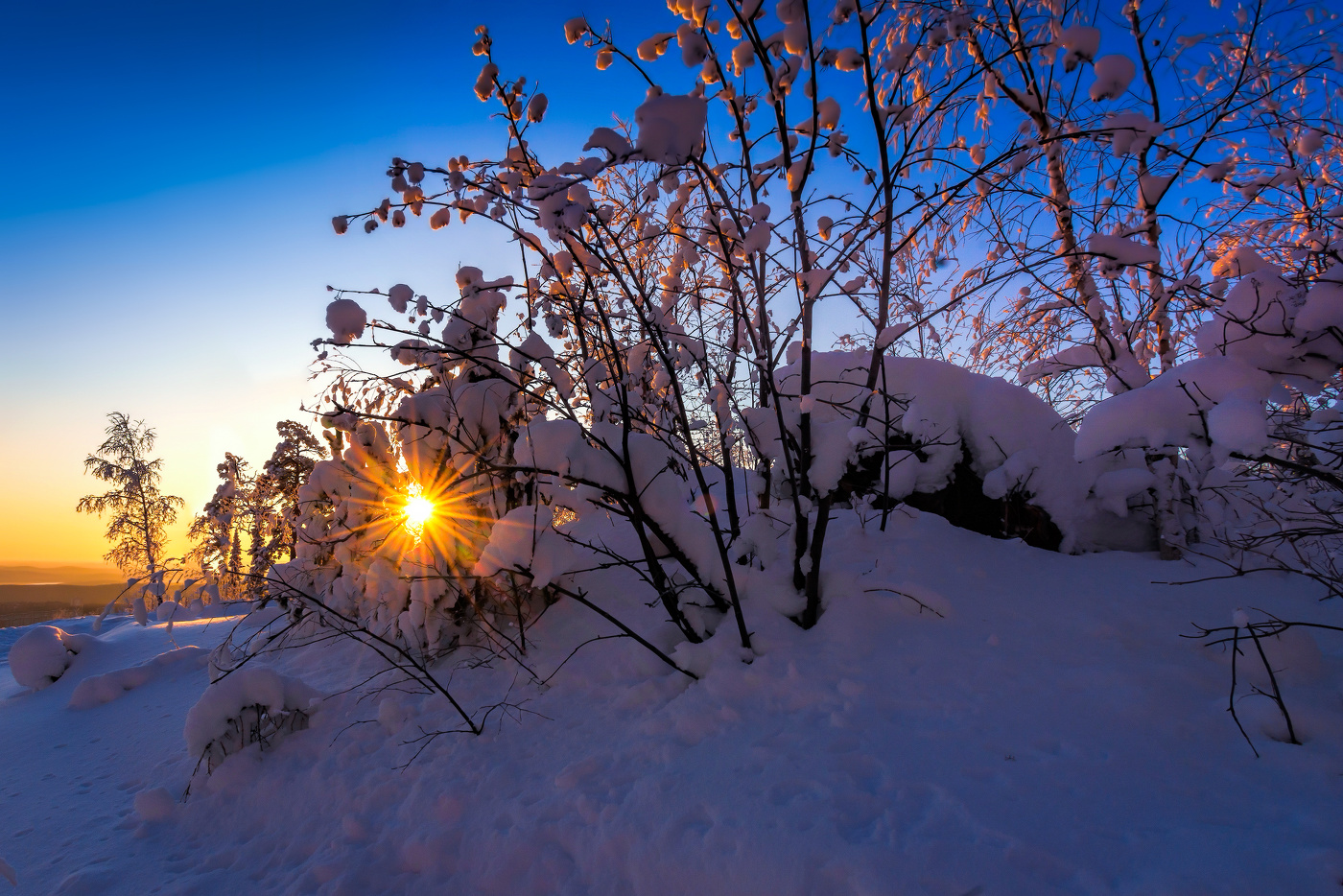 Зимнее солнце