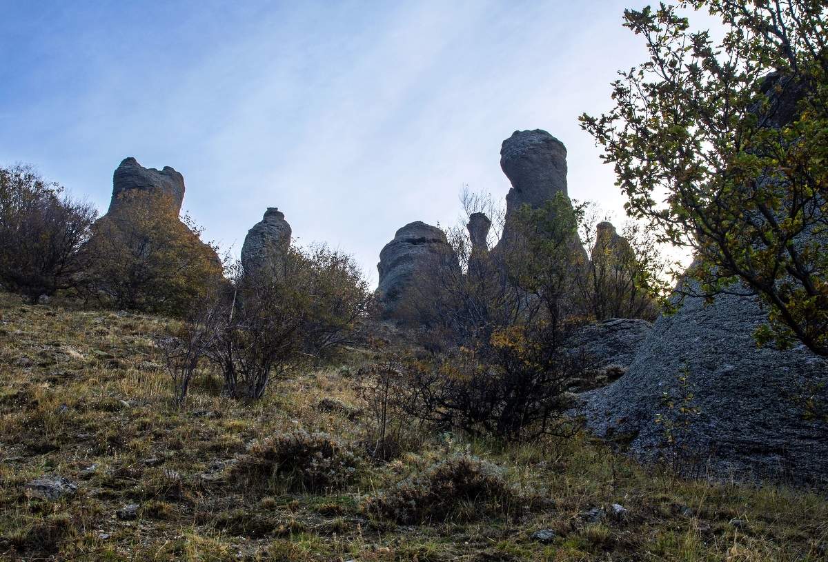 Любопытные...