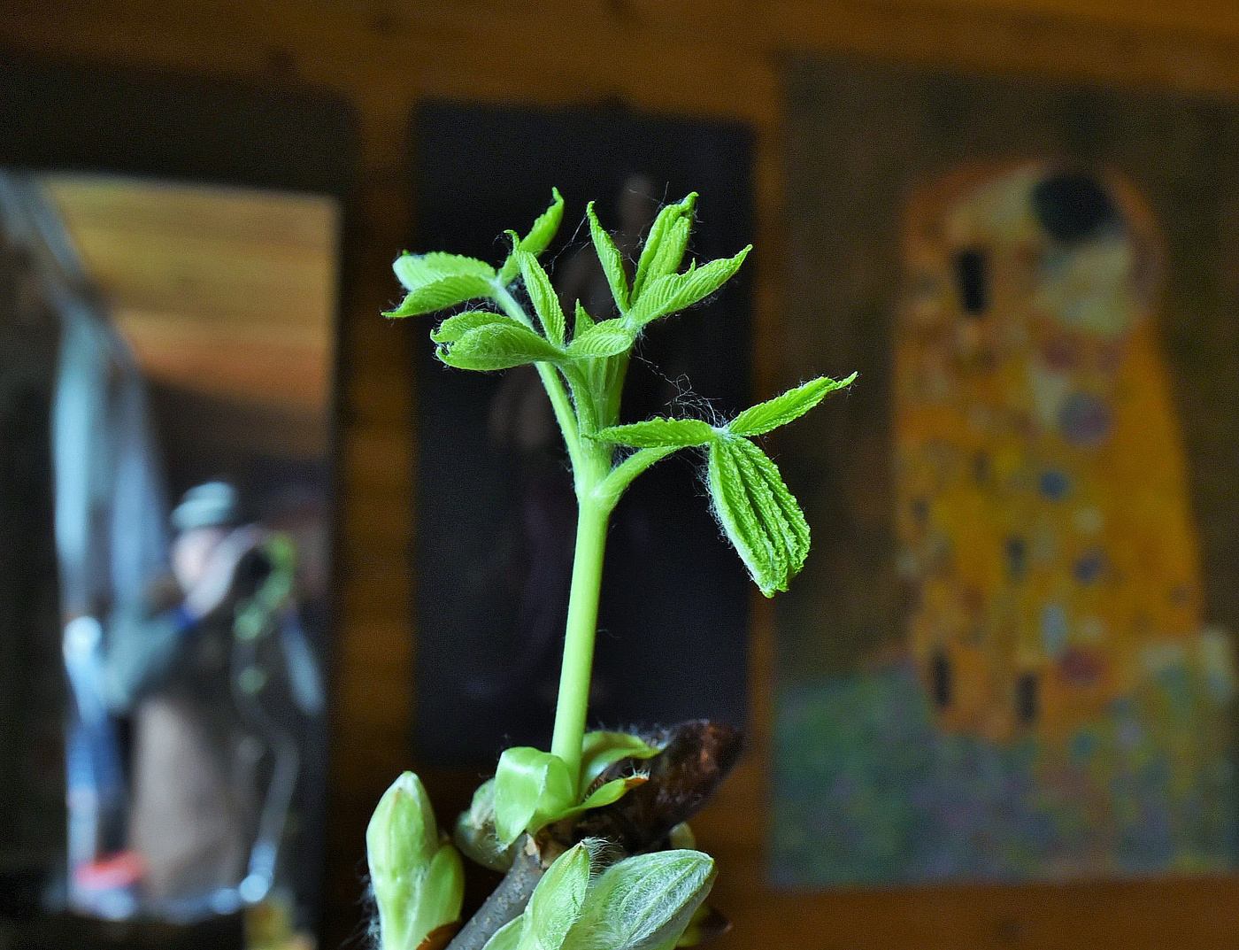 Пробуждение ...