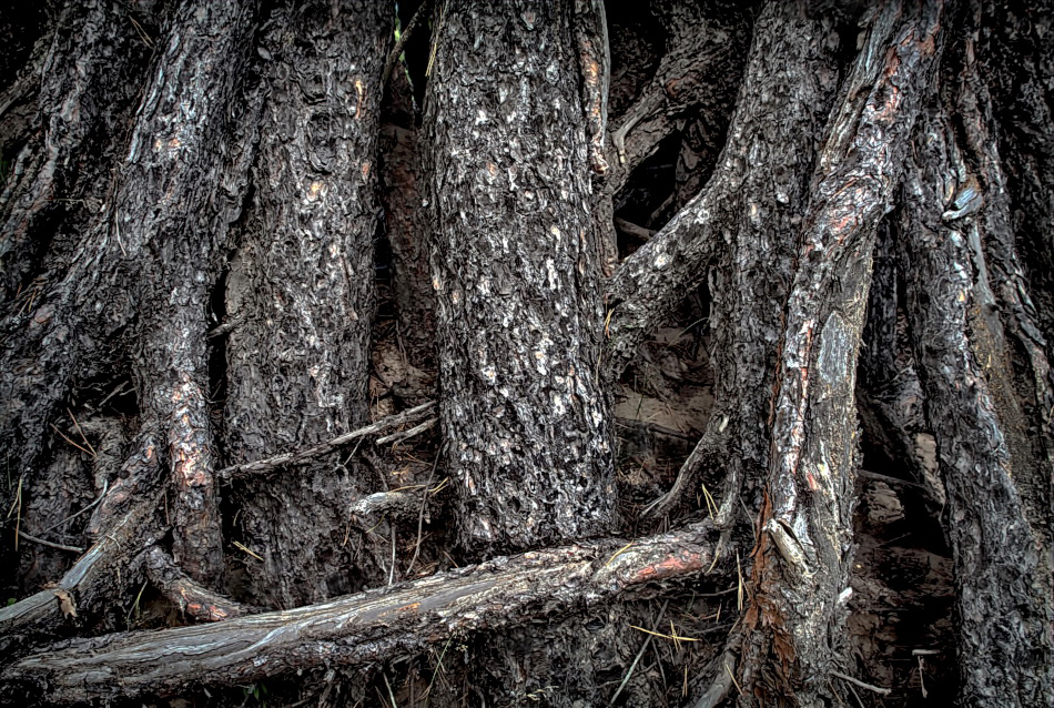 Взаимосвязанные.