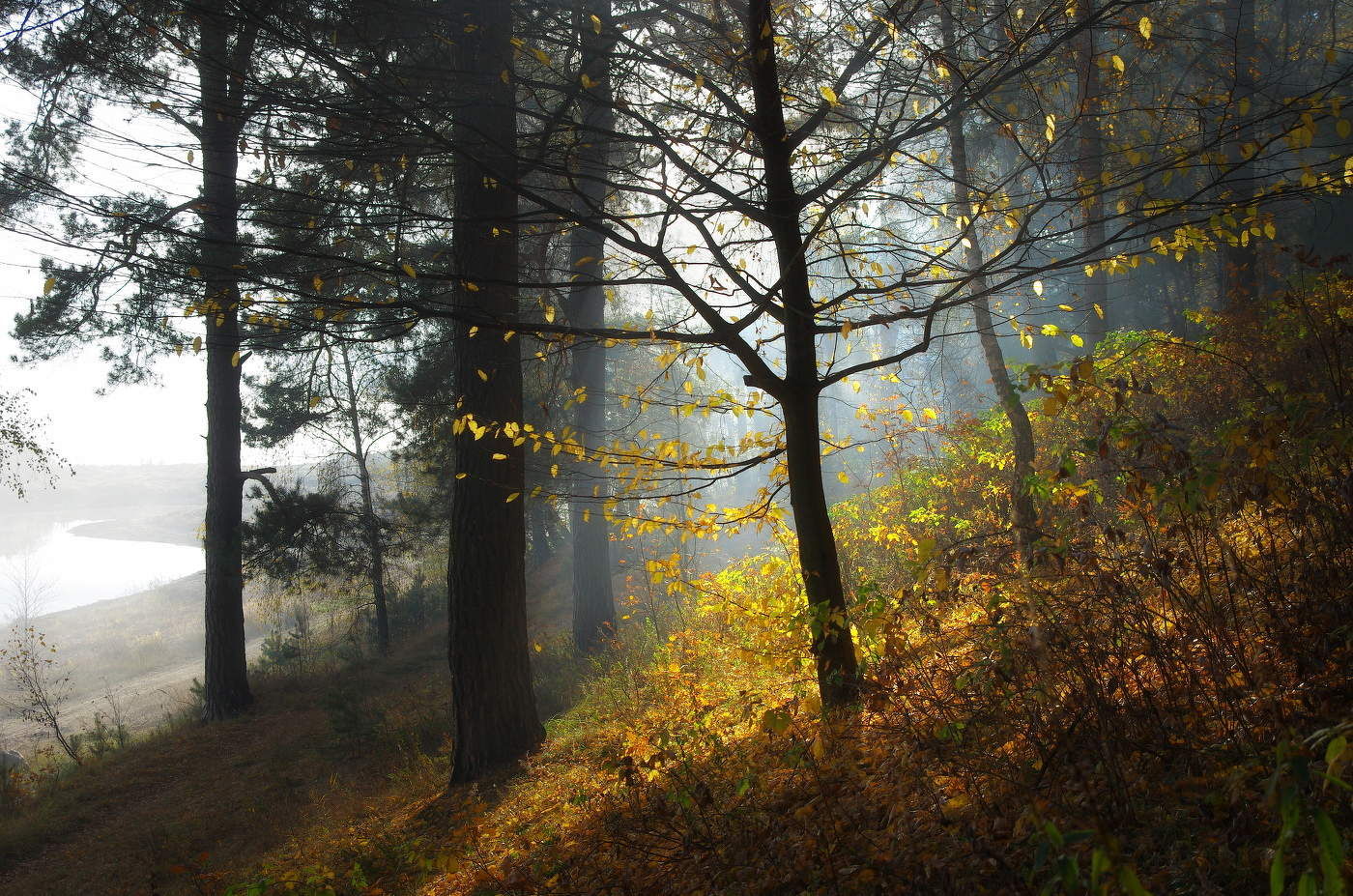 Утренний пейзаж