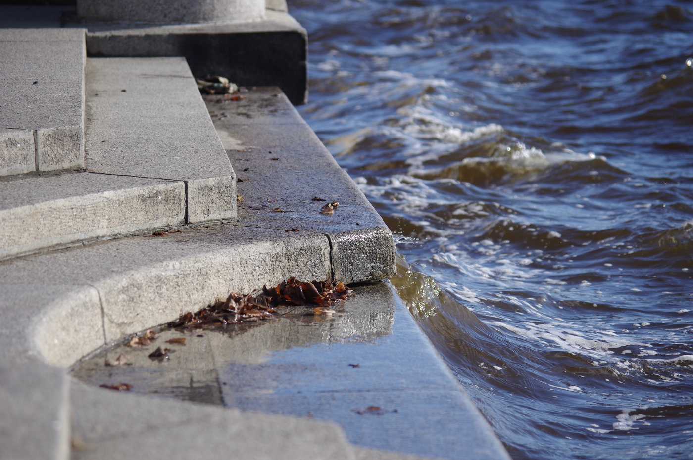 Волнительная Нева