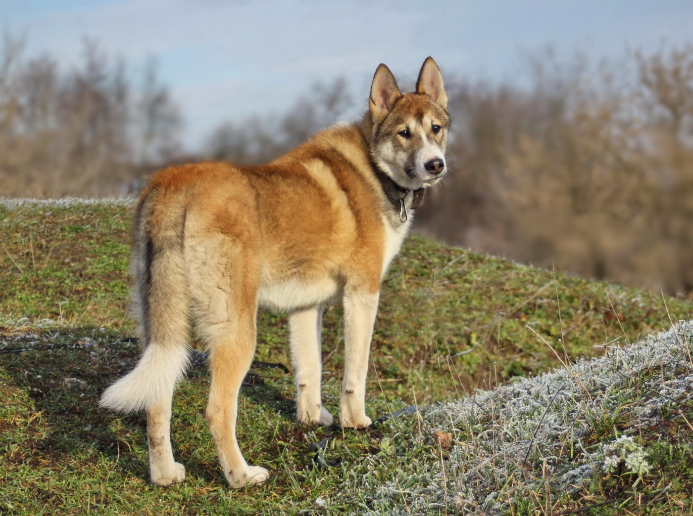 Ты заходи, если что!)
