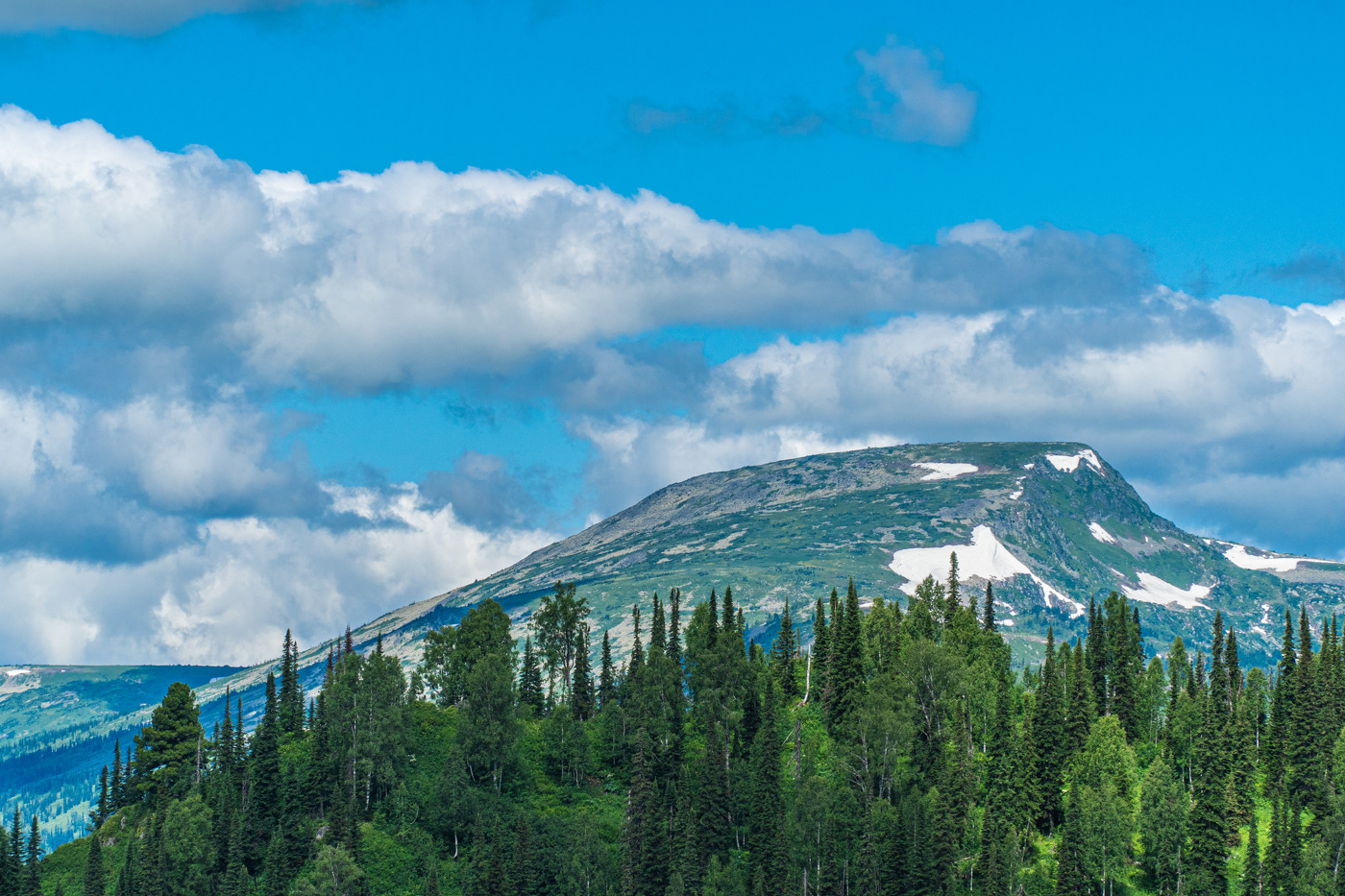 Поднебесные зубья