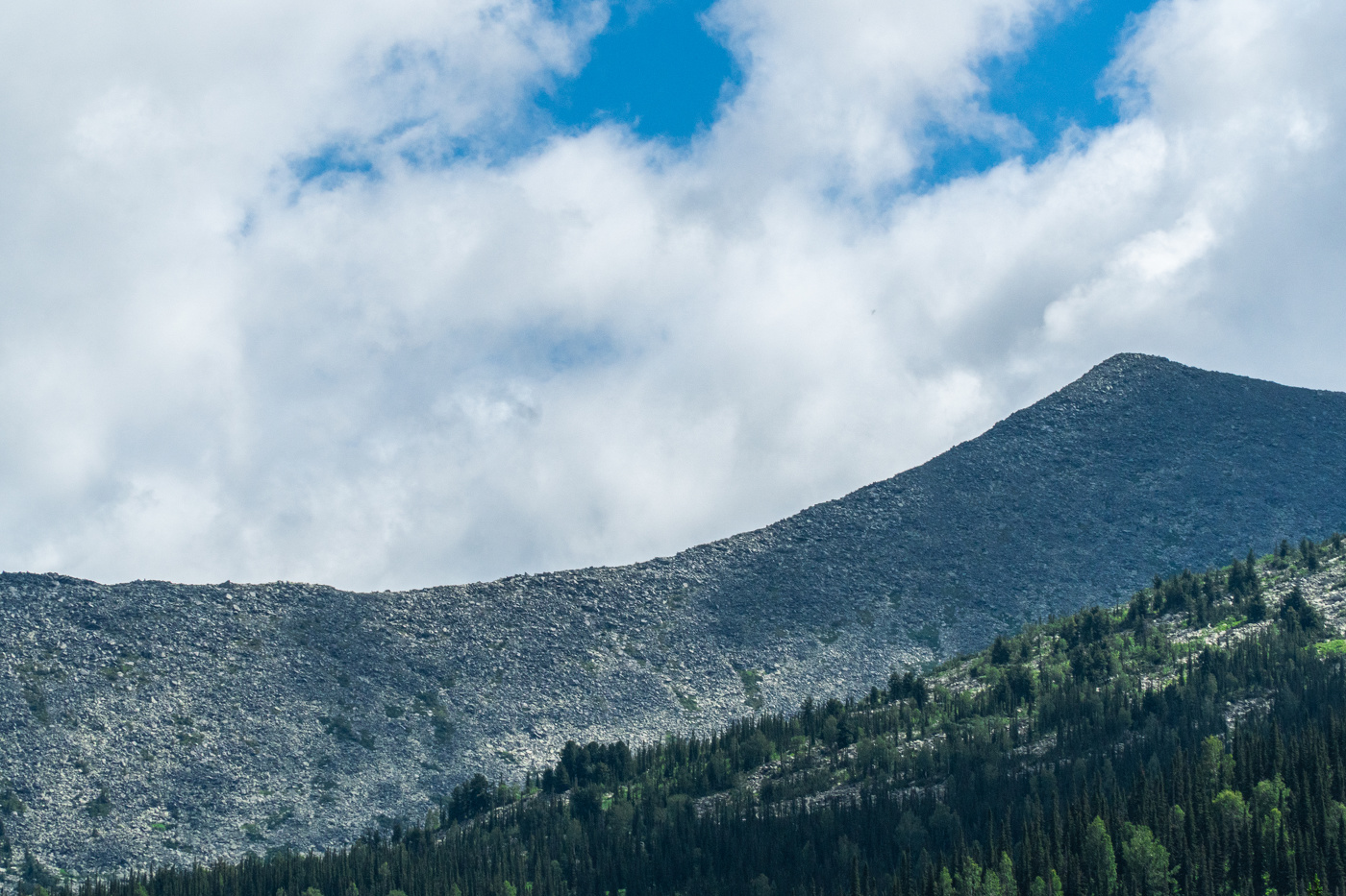 Поднебесные зубья