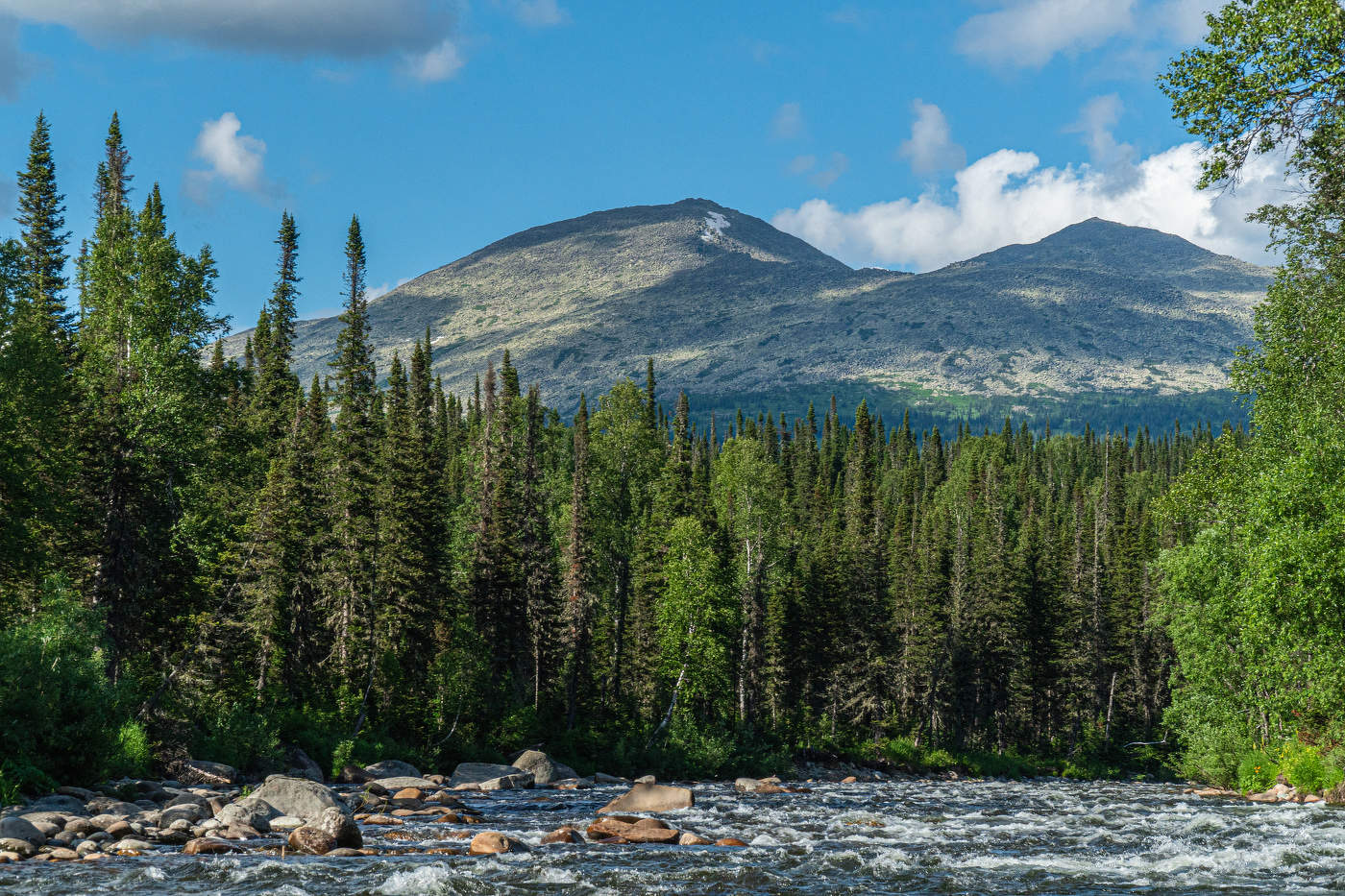 Поднебесные зубья