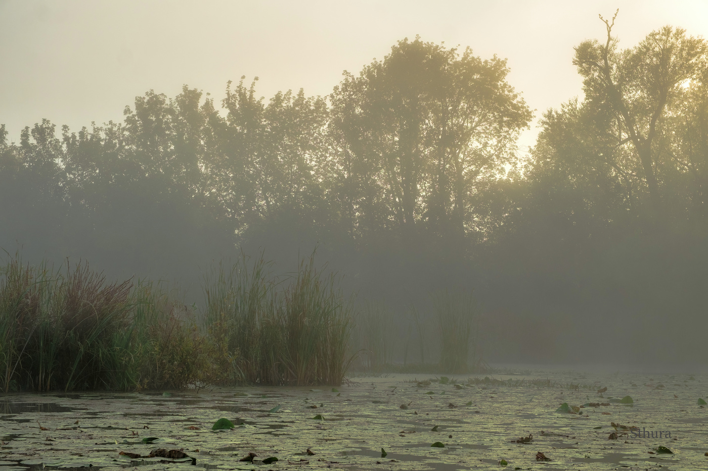 Теплое утро сентября.