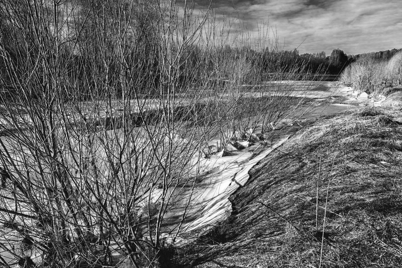 Жизнь вокруг