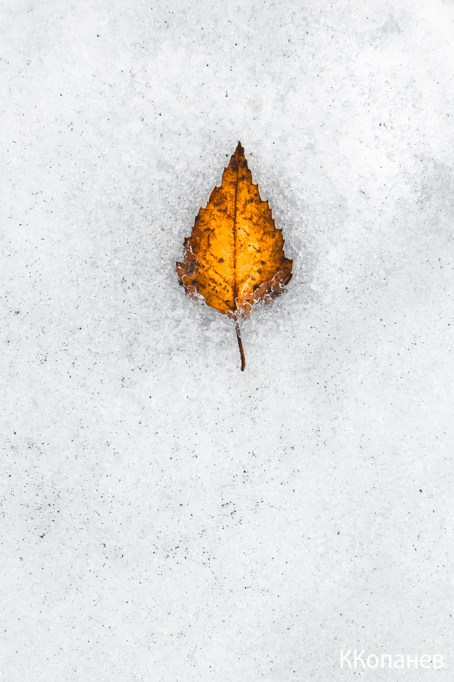 Воспоминание