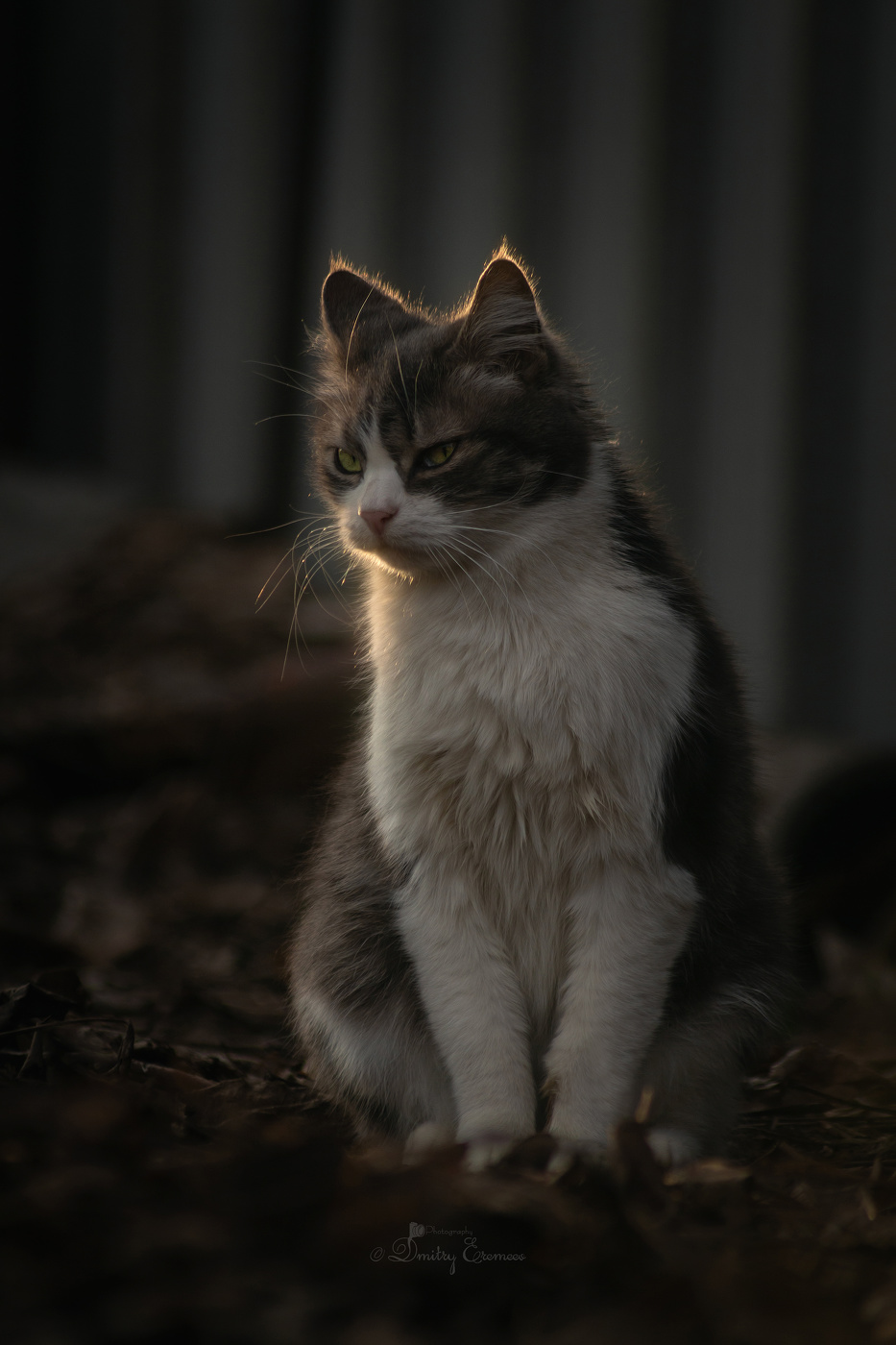 Мартовские посиделки...