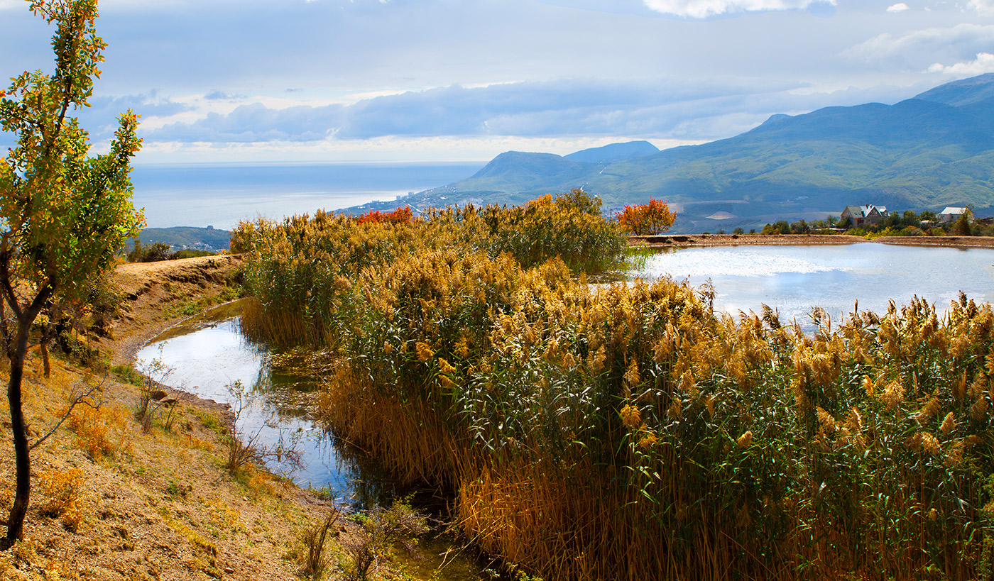 Озеро у родника