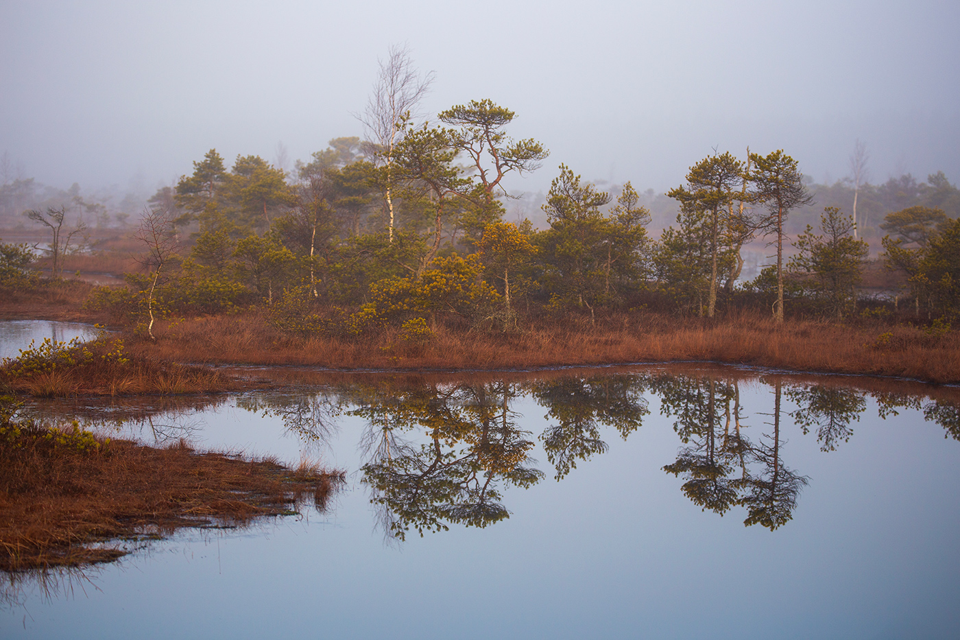 Размороженная осень