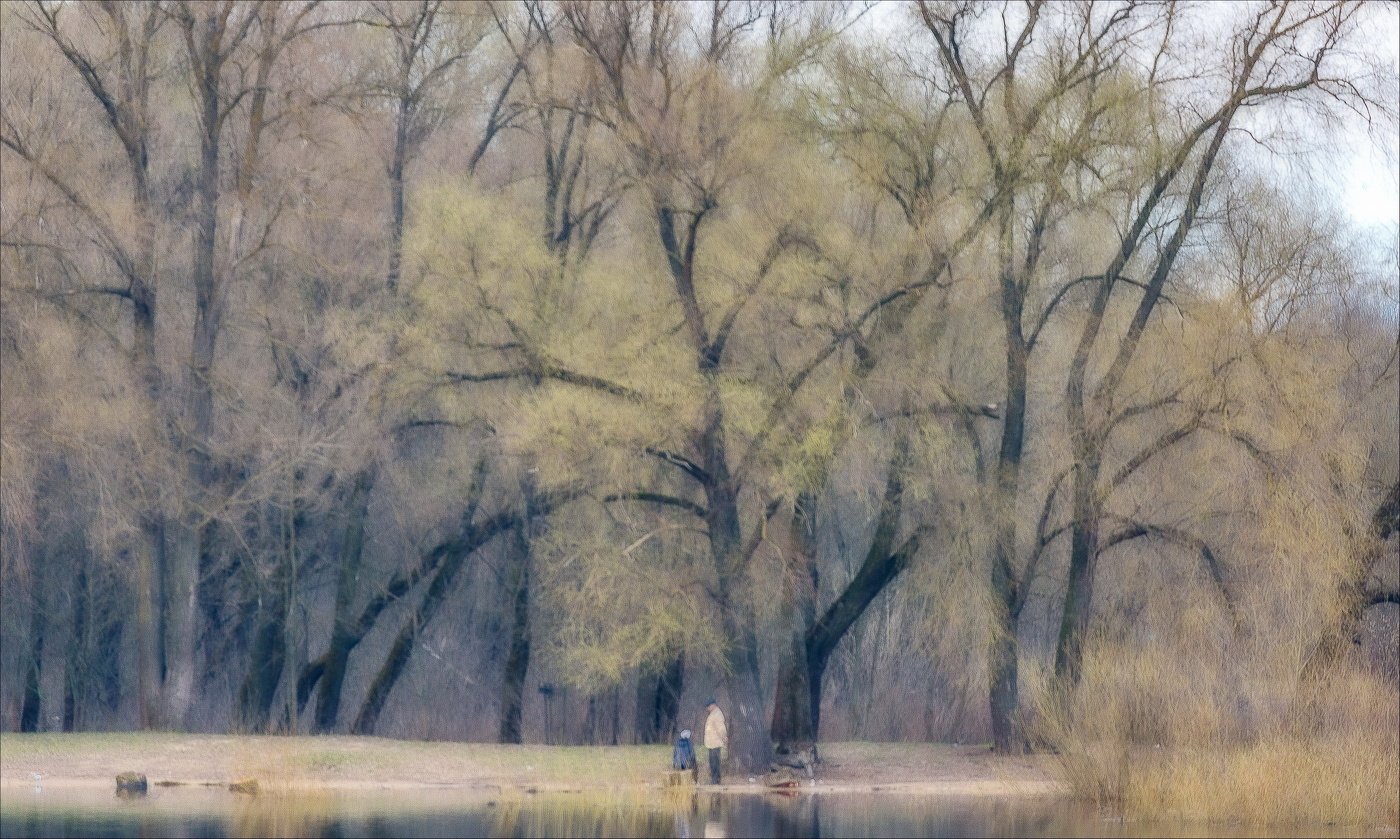 Когда деревья были молодыми...