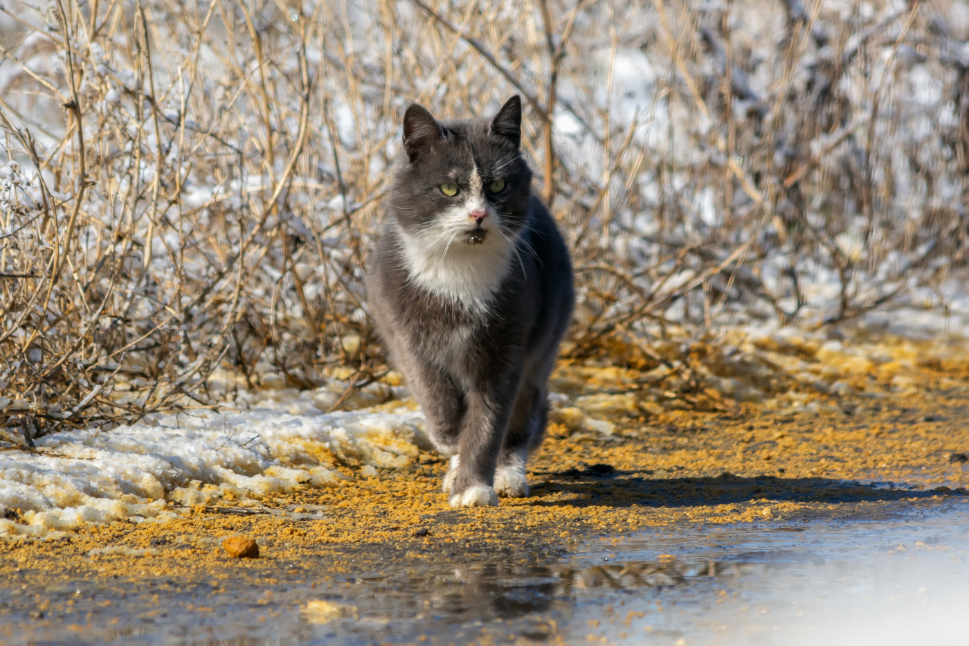 после гулянок