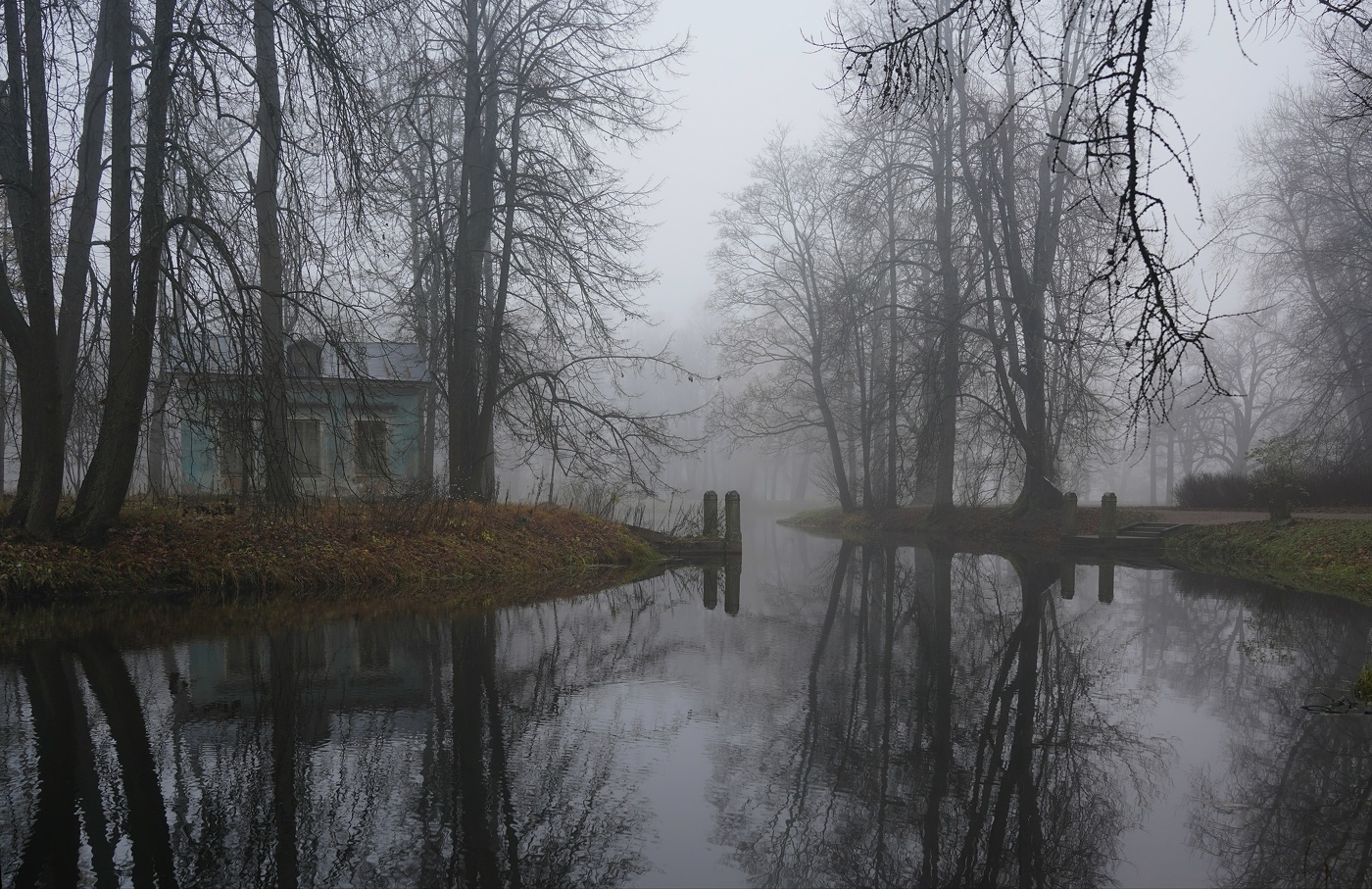 Утро в ноябре