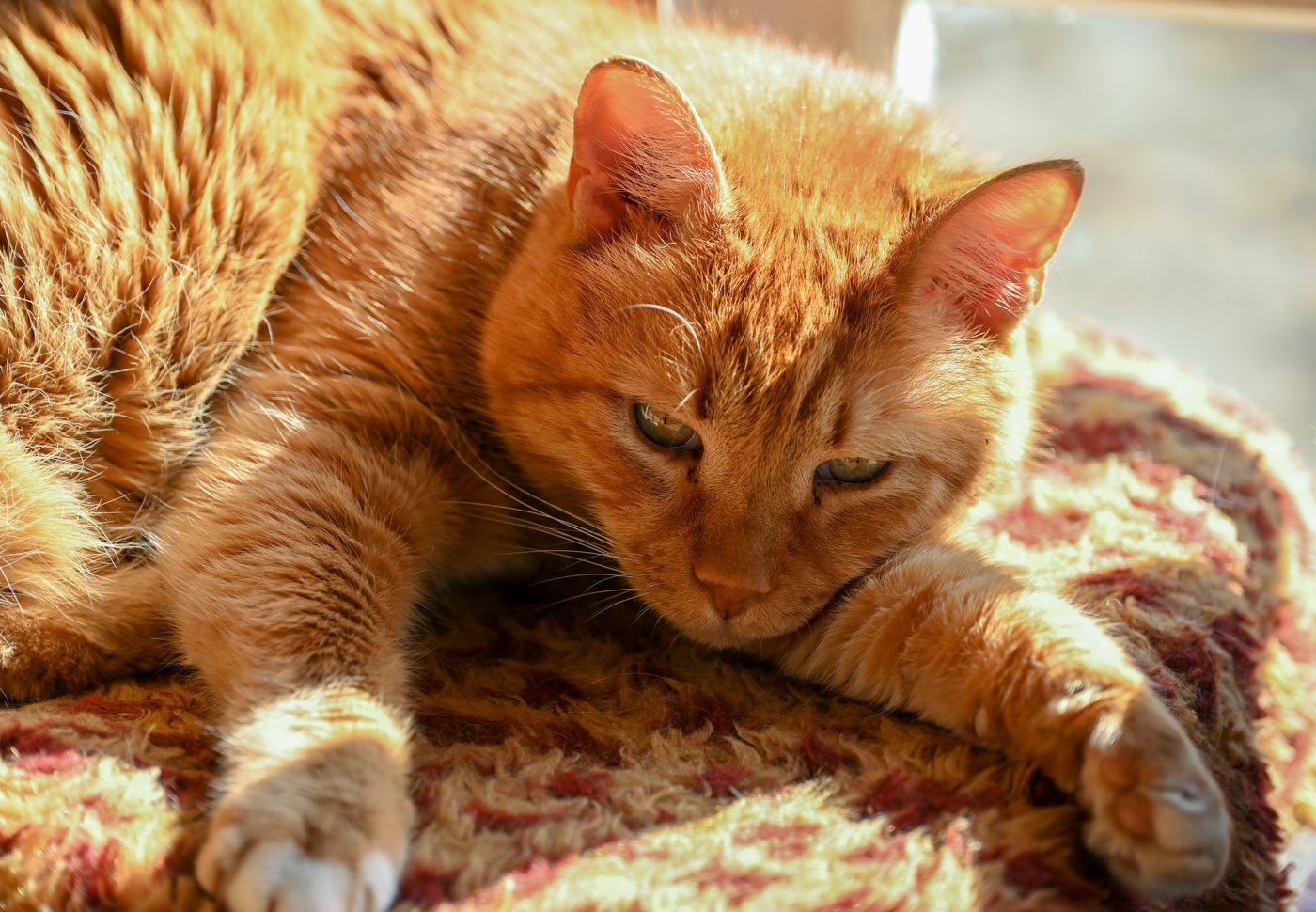 Моё солнышко...