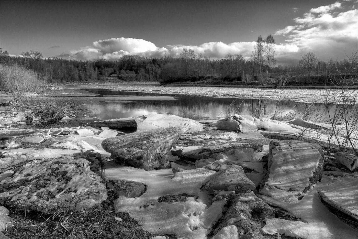 Жизнь вокруг