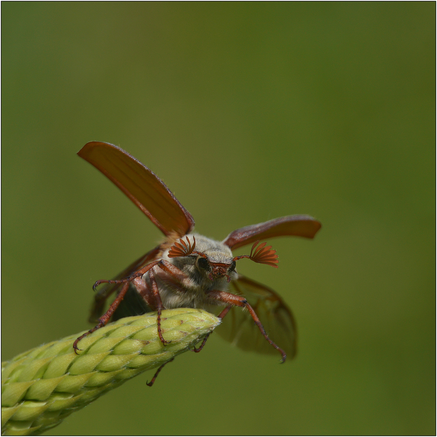 Высоко и страшно.