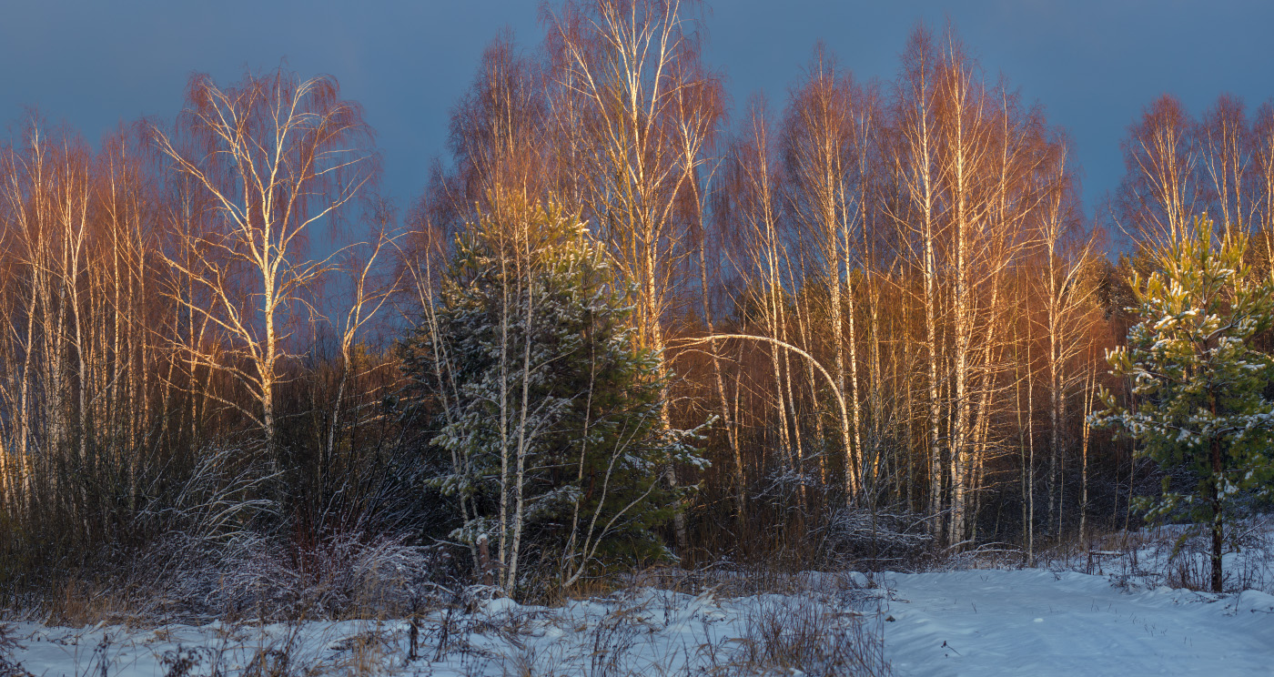 В минуты рассвета