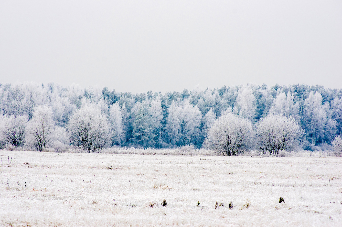 Поздняя осень.