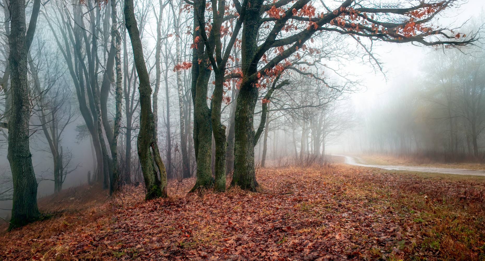 Январь без снега