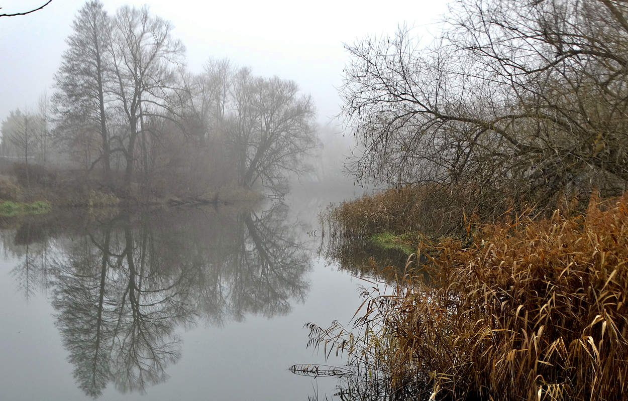 Туманным днём