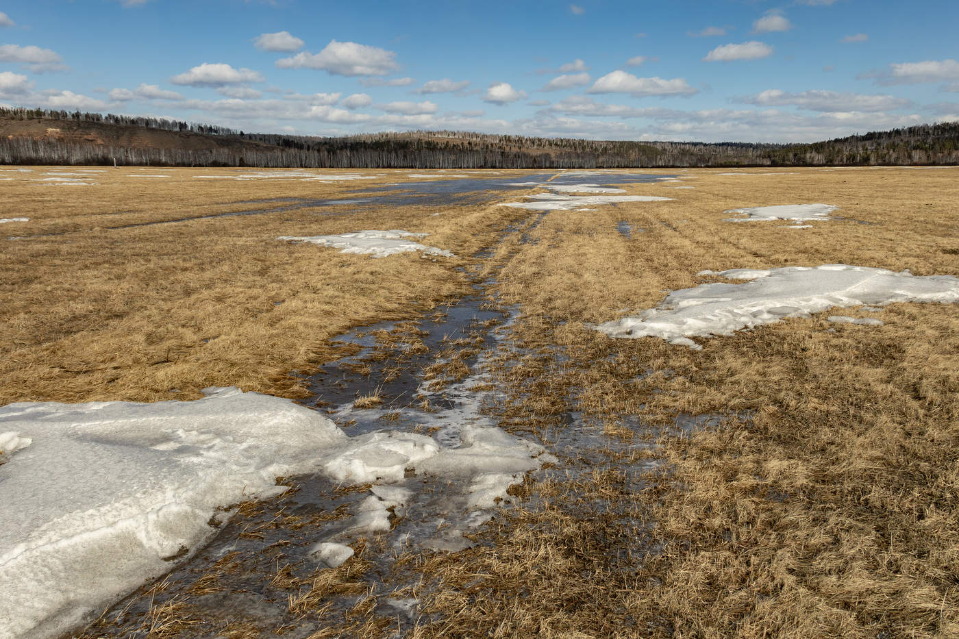Земля просыпается