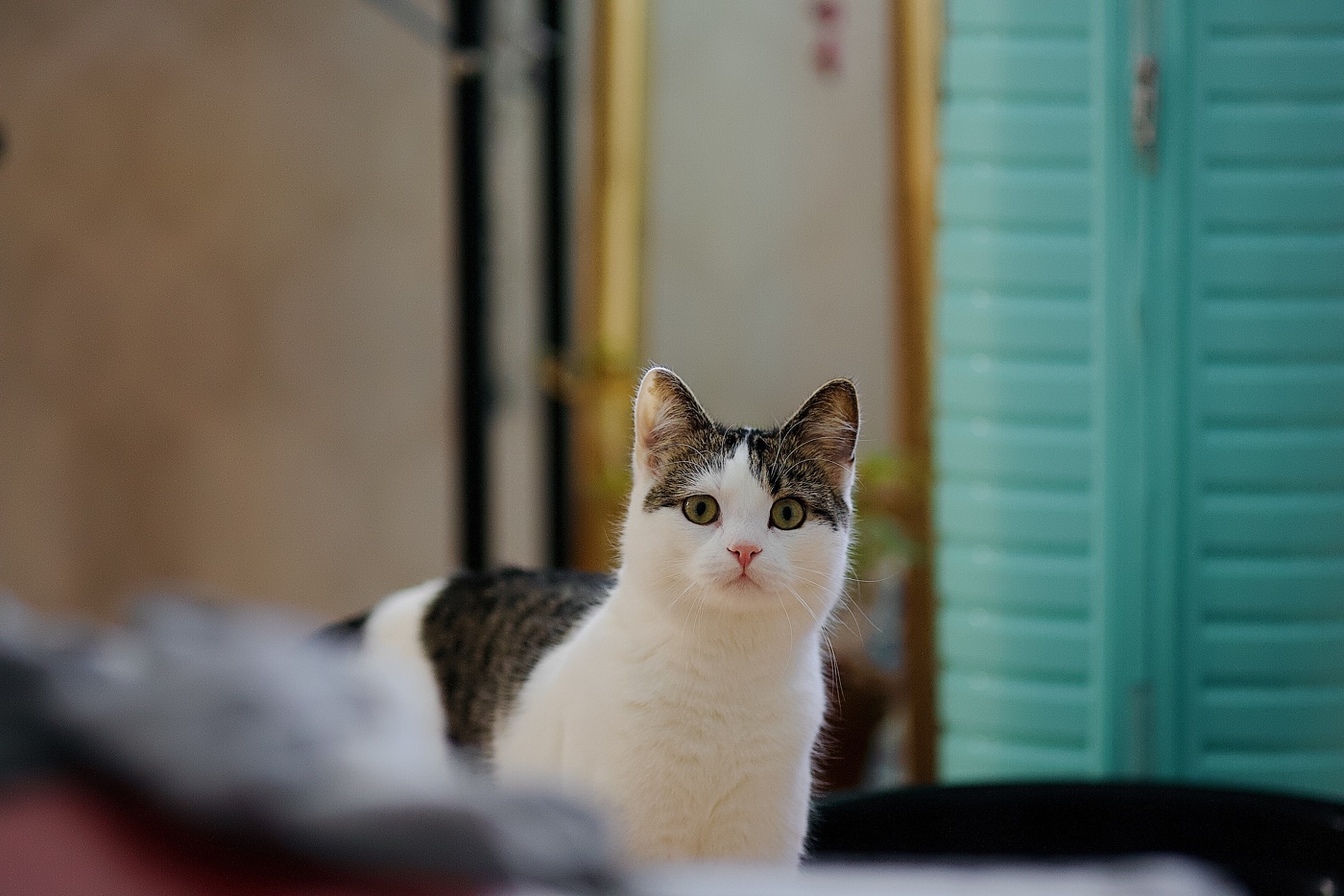 не уезжай без меня…