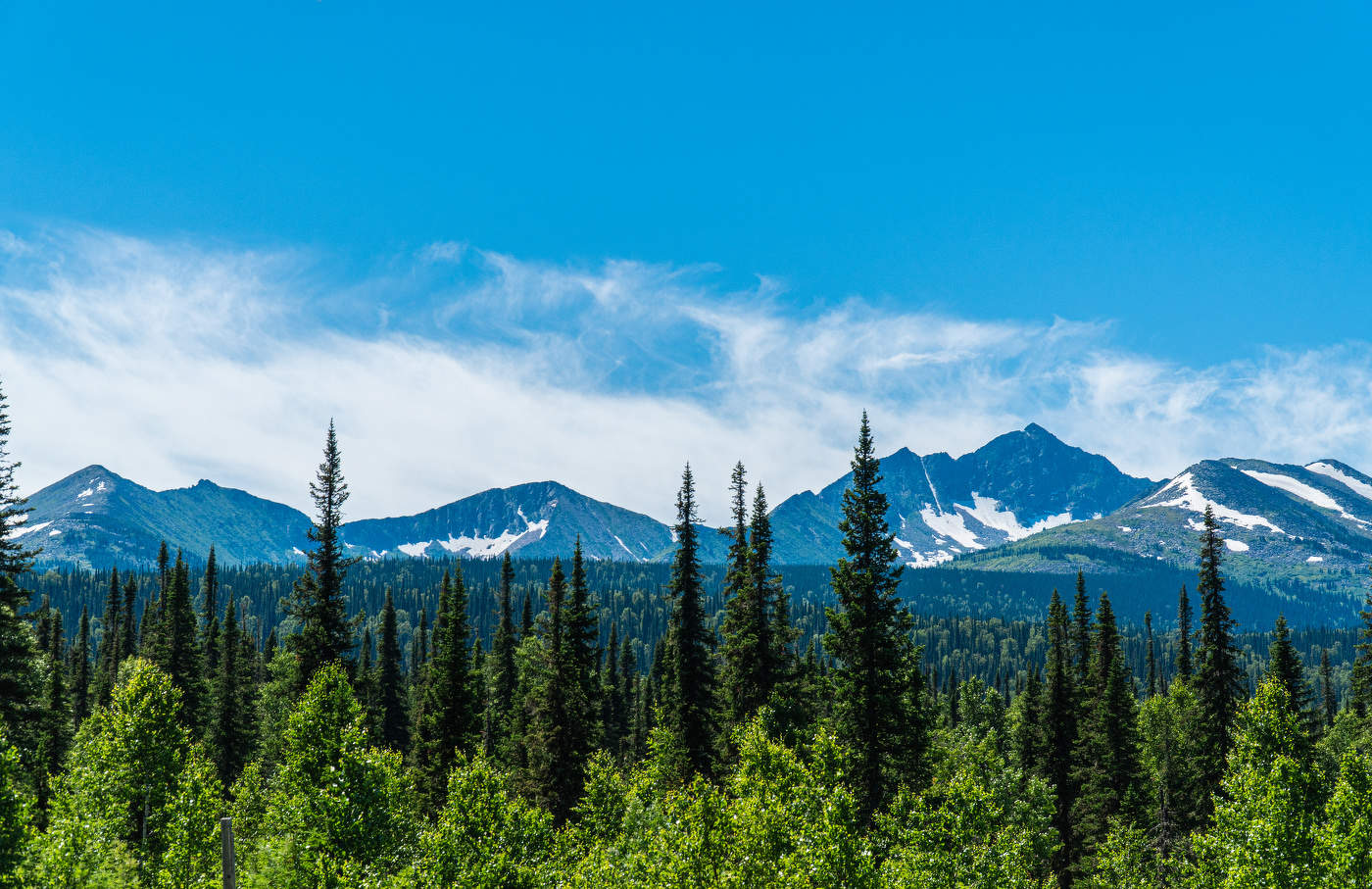 Поднебесные зубья