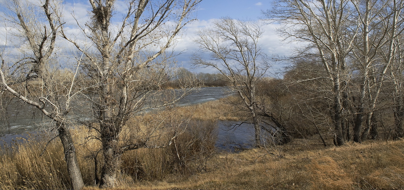 Лед тронулся