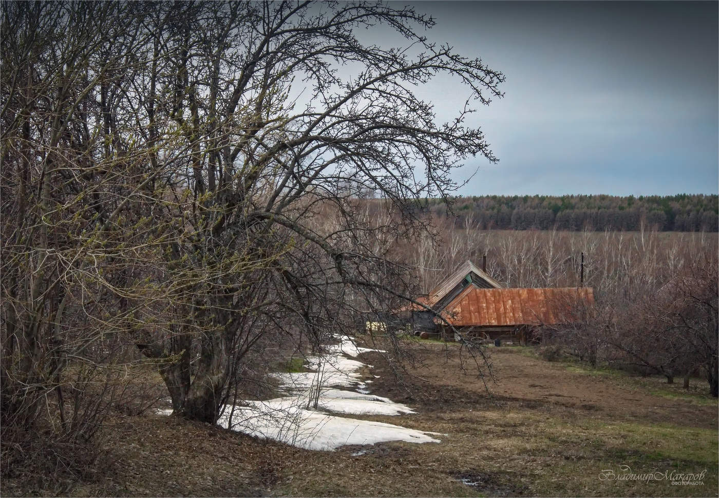 "Весна. Деревенские задворки"©