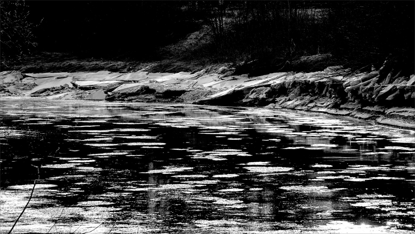 Жизнь вокруг