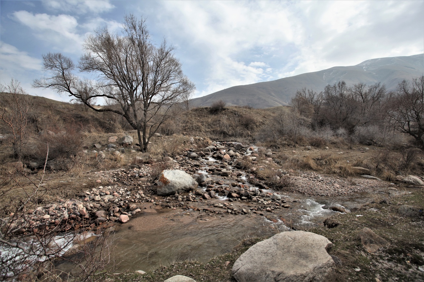 Весна на пороге