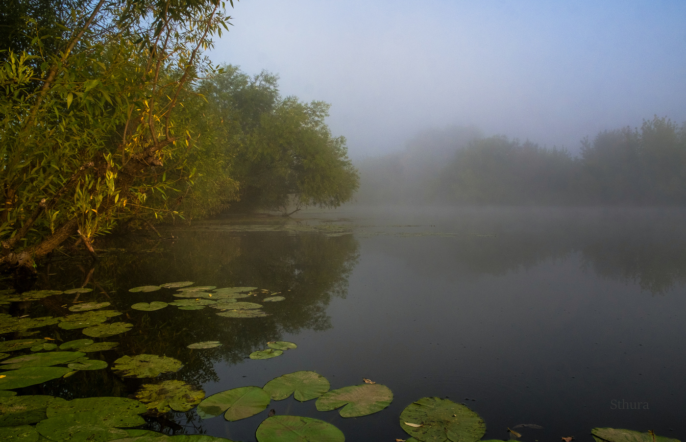 В начале осени.