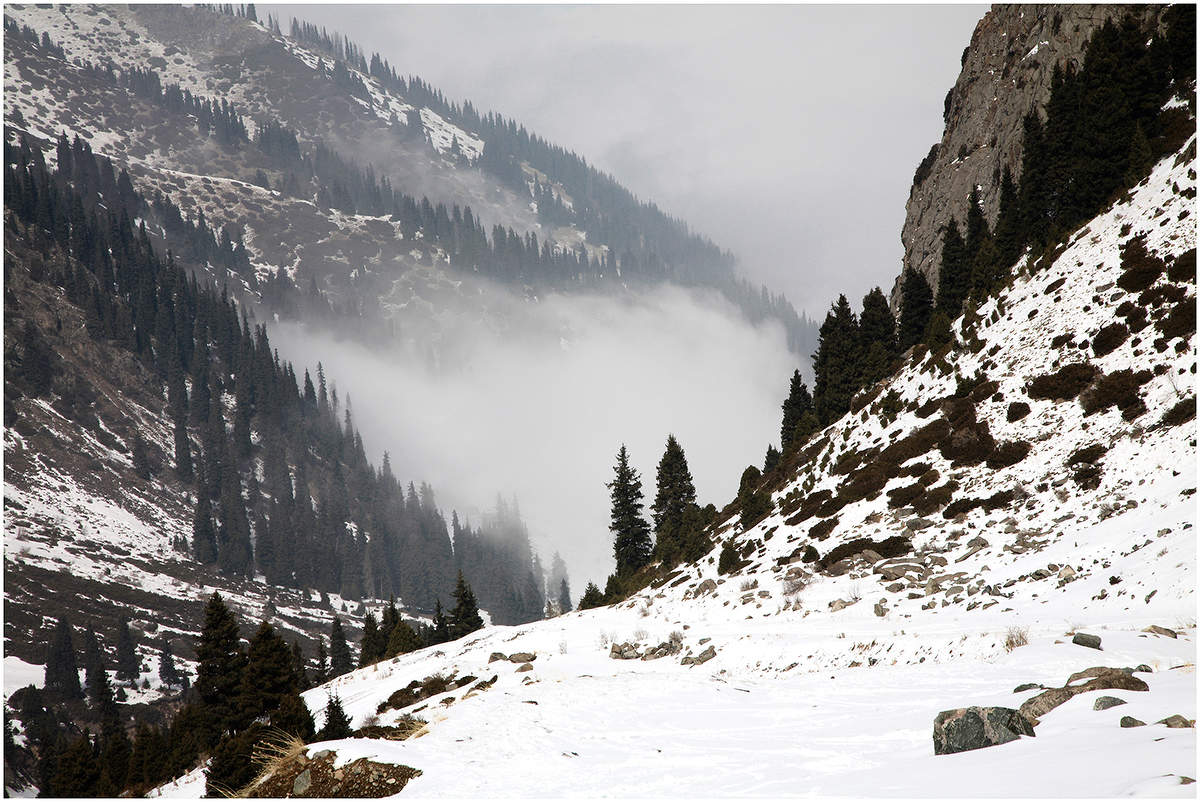 Ущелье "Ворота Туюксу". Тянь-Шань.