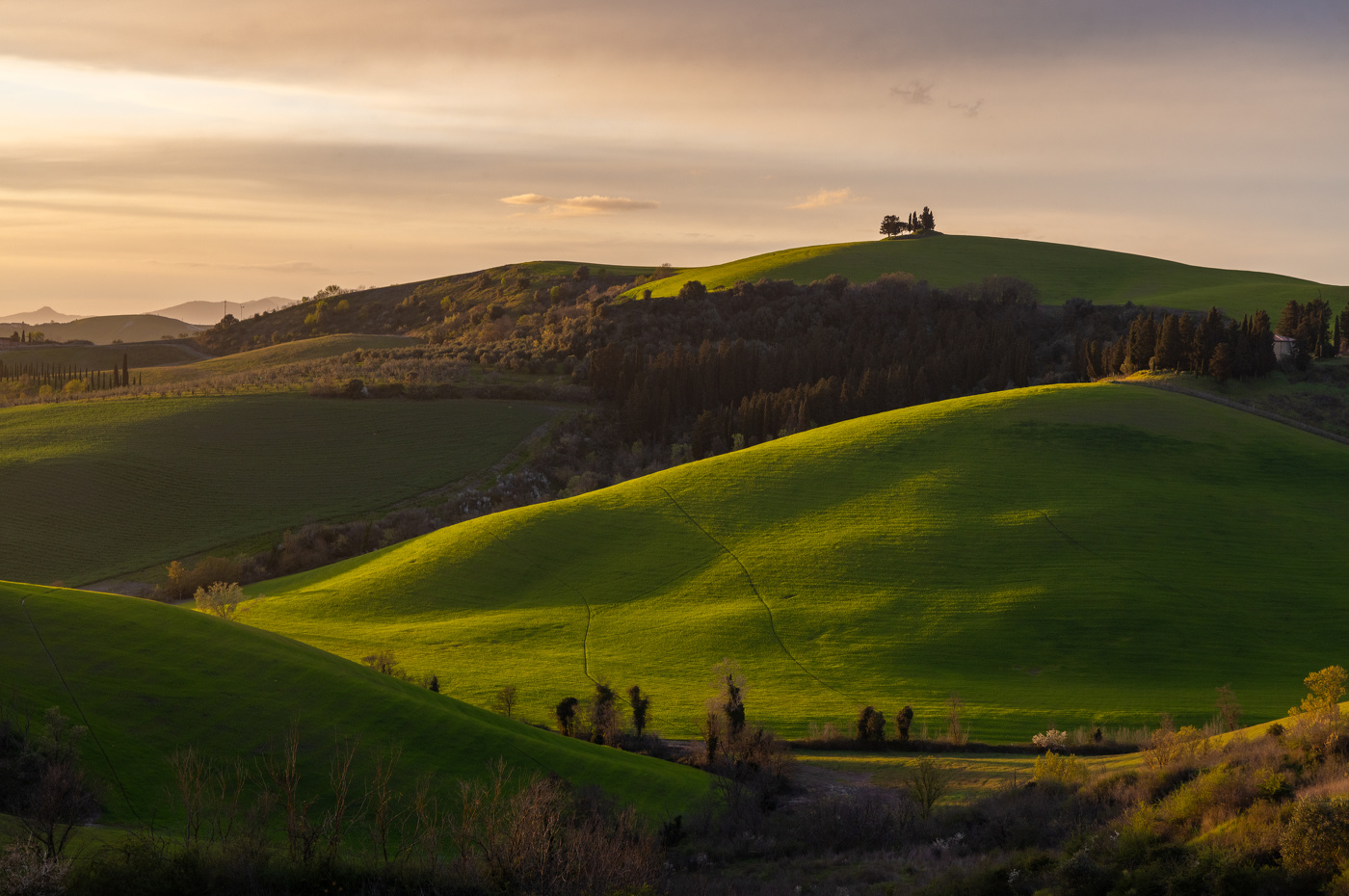Весенние холмы