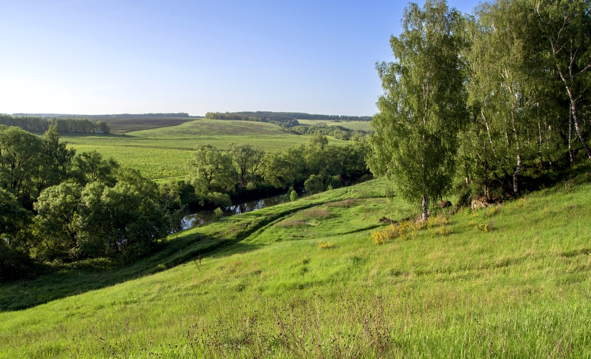 Щучье урочище.