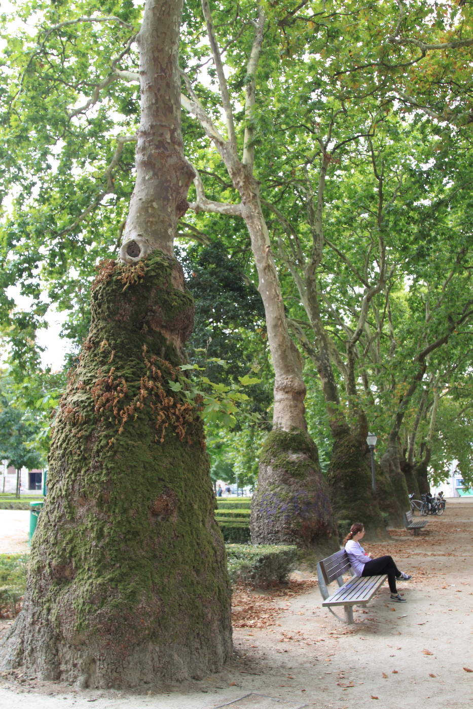 Лиссабонские зарисовки